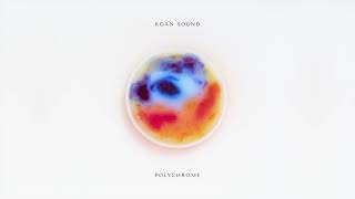 KOAN Sound  Polychrome Full Album [upl. by Alehcim256]