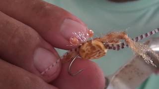 Sargasso Crab Fly Tying Instructions [upl. by Anny]