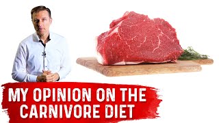 Dr Bergs Opinion on Carnivore Diet [upl. by Chak]