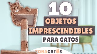 Qué NECESITA un gato 10 objetos IMPRESCINDIBLES ✔️ [upl. by Ramey]