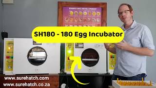 180 Egg Incubator and Hatcher Review  Surehatch SH180 [upl. by Guglielmo]