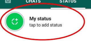 How to use Whatsapp statusnew features and share your status to your friends [upl. by Soloman112]