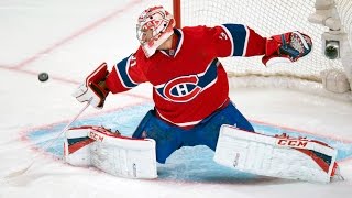 Best Saves in NHL History [upl. by Tiphanie295]