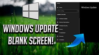 How to Fix Windows Update Blank Screen in Settings on Windows 10 2025 [upl. by Anowahs]