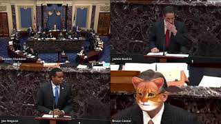 Impeachment Trial Zoom version Trump lawyer forgets Cat filter [upl. by Eentroc253]