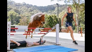 Crunch ★ quotFREE JUMPING 4quot ★ Miniature Horse Jumping Champion 4K [upl. by Andi740]