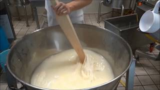 How to make Mozzarella [upl. by Rothmuller309]