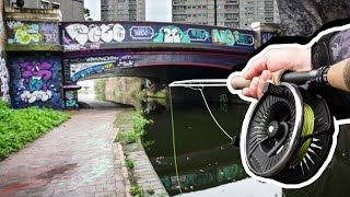 FLY FISHING for PIKE In THE CITY [upl. by Notsud593]