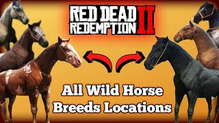 All Wild Horse Breed Locations in Red Dead Redemption 2 [upl. by Daisy]