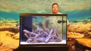 How to a Set Up a 65 Gallon Salt Water Aquarium with Caribsea Products [upl. by Imuy583]