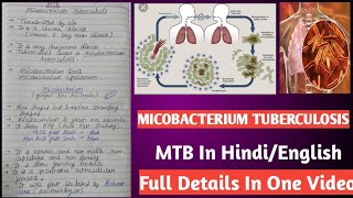 Micobacterium tuberculosis  Mycobacterium tuberculi microbiology [upl. by Leohcin318]