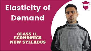 Elasticity of Demand in Nepali  New Syllabus  Class 11  Economics [upl. by Judenberg589]