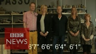 Why are the Dutch so tall BBC News [upl. by Chute]