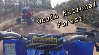 Ocala National Forest ATV Trails [upl. by Rothenberg959]