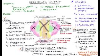 Cerebellar Disease  Cerebellar Lesions [upl. by Frederich]