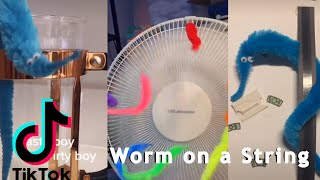 Worm On a String Magic Worms TikTok Compilation [upl. by Chaiken936]