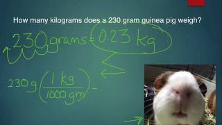 Medical calculations part 1 Veterinary Pharmacology [upl. by Attelrahs]