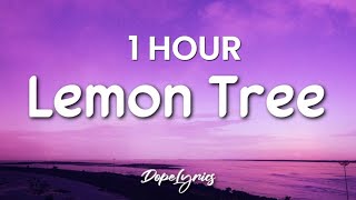 1 HOUR Lemon Tree  Fools Garden Lyrics 🎵 [upl. by Otanutrof]