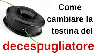 Come cambiare la testina del decespugliatore [upl. by Camus]