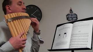 Teach yourself Pan Flute Easy lessons Study 1 to 8 [upl. by Nnaytsirk]