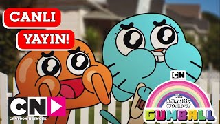 🔴 CANLI 🔴 GUMBALL  1 Sezon  Cartoon Network Türkiye [upl. by Yojal]