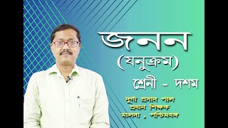 Alternation of generation Dryopteris bengaliclass 10 life scienceফার্নের জনুক্রমরেণুধর লিঙ্গধর [upl. by Gaves]