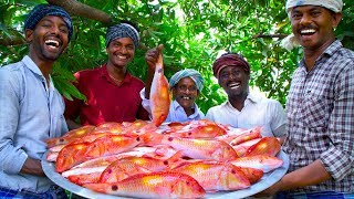 INDIAN GOAT FISH FRY  20 Kg Fish Fry with Flavoured Oil  Nagarai Meen Poriyal  Cooking In Village [upl. by Arnold]