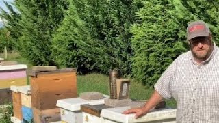 Beekeeping tips you didn’t learn in Beekeeping101 [upl. by Nalyad]