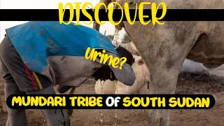 This tribe showers with cow urine The Mundari Tribe of South Sudan [upl. by Wernda]