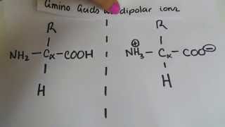 MCAT 2015 Amino Acids [upl. by Yerrok]