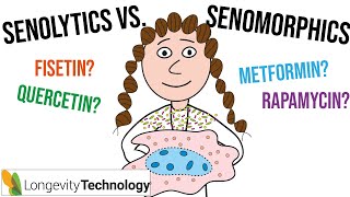 My ultimate guide to senotherapeutics senolytics vs senomorphics [upl. by Elleron211]