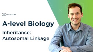 Inheritance Autosomal Linkage  Alevel Biology  OCR AQA Edexcel [upl. by Arron]