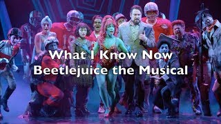 Beetlejuice the Musical  What I Know Now Lyrics [upl. by Fried]