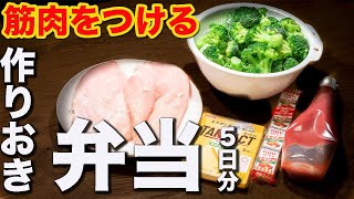 １週間作り置き筋肉飯体がみるみる変わる高たんぱく簡単弁当5日分ミールプレップ [upl. by Ecnerret407]