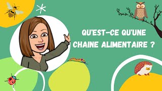 🌿 Questce quune chaîne alimentaire  🐞 [upl. by Graf]