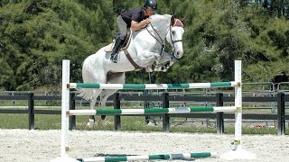 Horse Jumps ProTips  RideACourse with Todd Minikus [upl. by Girish]