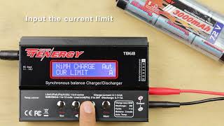 How To Charge Series Charging NiMH Battery Packs on the TB6B [upl. by Astred114]