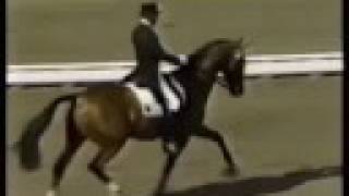 Klimke and Ahlerich  1984 Olympics Dressage [upl. by Oneill]