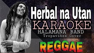 HERBAL NA UTAN  Rapapampam  REGGAE KARAOKE VERSION  MVM KARAOKE PLAYLIST [upl. by Patrice55]