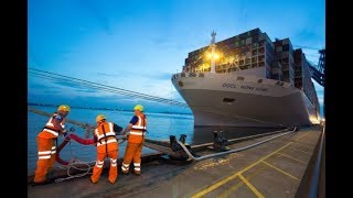 Mooring and Berthing  Merchant Navy [upl. by Rupert]