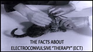 Electroconvulsive quotTherapyquot —The Facts about ECT [upl. by Yenitirb]