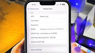 ANY iPhone How To Access APN Settings [upl. by Couq]