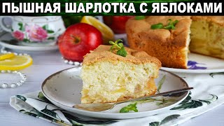 Простая шарлотка с яблоками в духовке пышная 🥧 Как испечь вкусную яблочную шарлотку [upl. by Nylcsoj931]