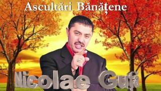 NICOLAE GUTA  COLAJ BANATENE [upl. by Nidraj]