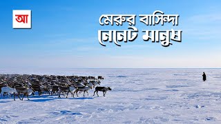 মেরুর বাসিন্দা বিচিত্র যাযাবর নেনেট সম্প্রদায়  আদ্যোপান্ত  The Nenets  Arctic Reindeer Herders [upl. by Noram]