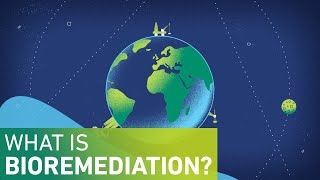 What is Bioremediation [upl. by Bowman488]