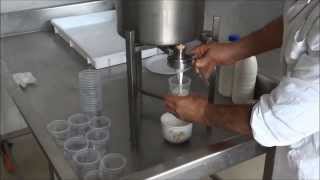 YOGURT MAKER FOR MINI DAIRY HOW TO MAKE YOGURT [upl. by Aloisius]