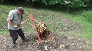 Pulling up a Large Old Stump with a Farm Jack [upl. by Denman]