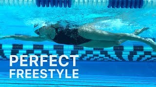 How To Swim Freestyle With Perfect Technique [upl. by Mittel388]