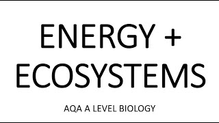 ENERGY amp ECOSYSTEMS  AQA A LEVEL BIOLOGY  EXAM QUESTIONS RUN THROUGH [upl. by Peers452]